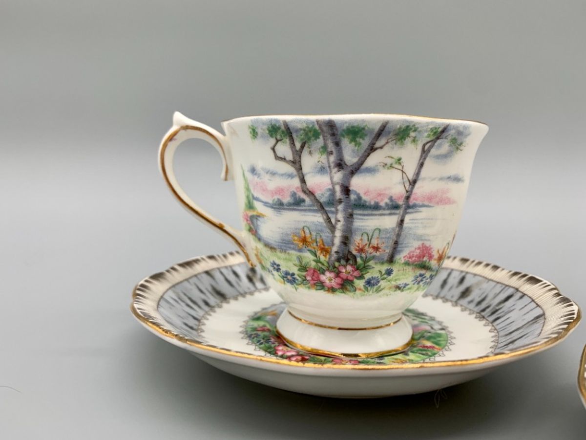 Set Royal Albert Silver Birch Dames En Heren Kop En Schotel image 10