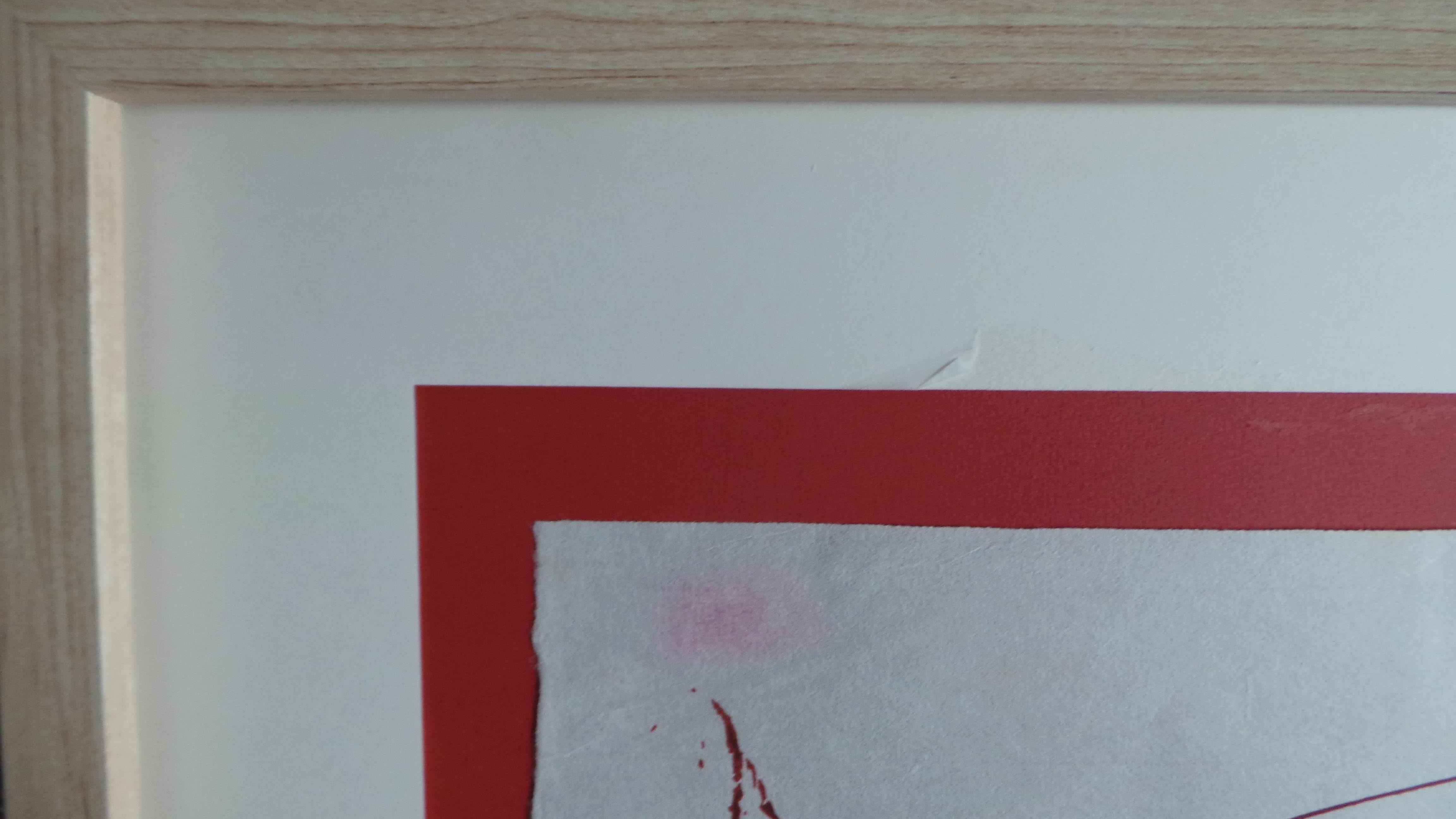 Picador image 19