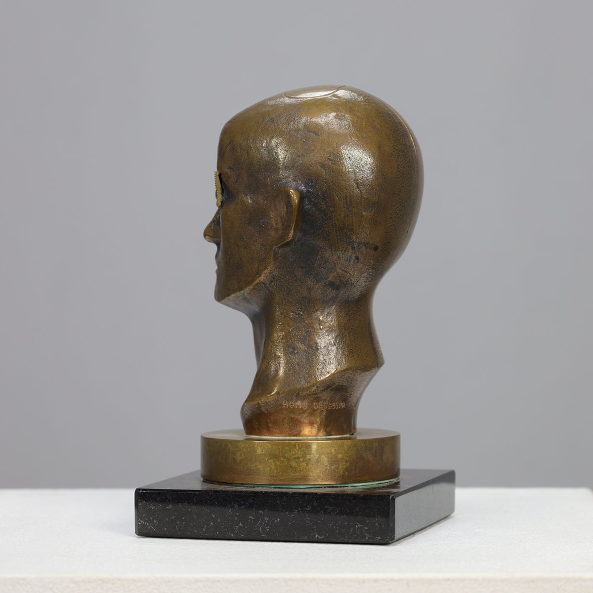 Sculpture “homo Decessor” By Raf Verjans image 6