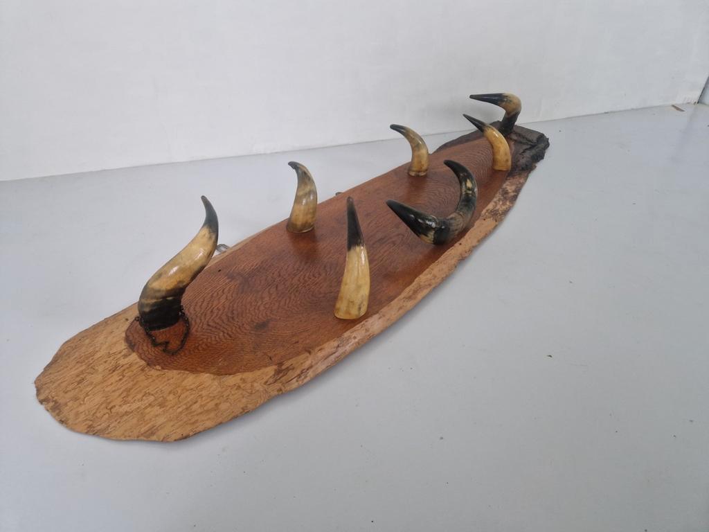 Vintage Koehoorn Mancave Kapstok. image 4