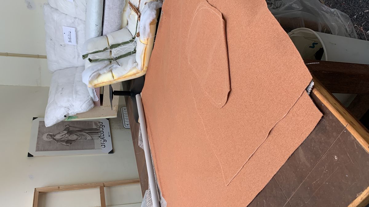 DUTCHBONE Fauteuil In Perzikoranje – Opnieuw Bekleed image 3