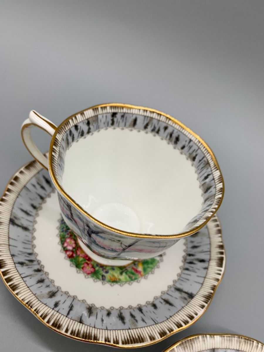 Set Royal Albert Silver Birch Dames En Heren Kop En Schotel image 6