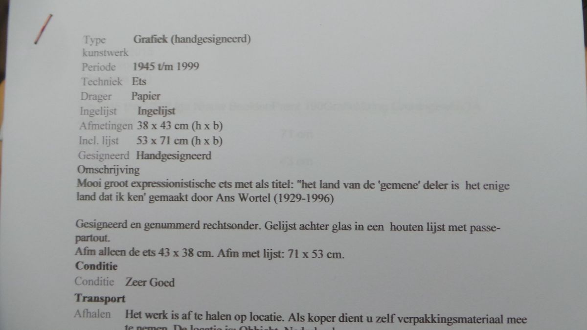 Mooie Groote Ets Ans Wortel image 14