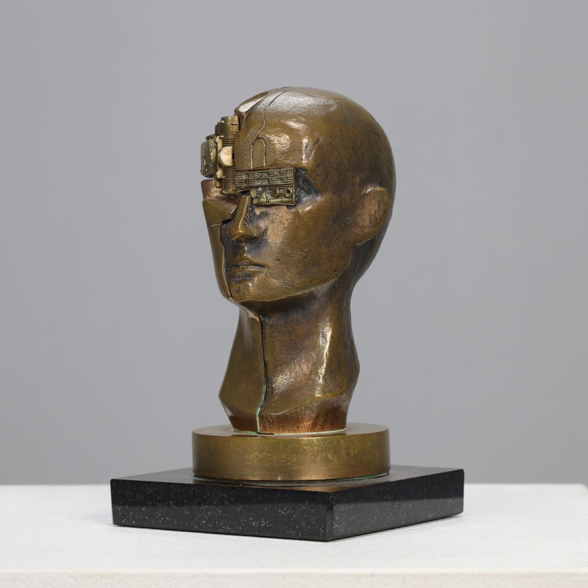 Sculpture “homo Decessor” By Raf Verjans image 4