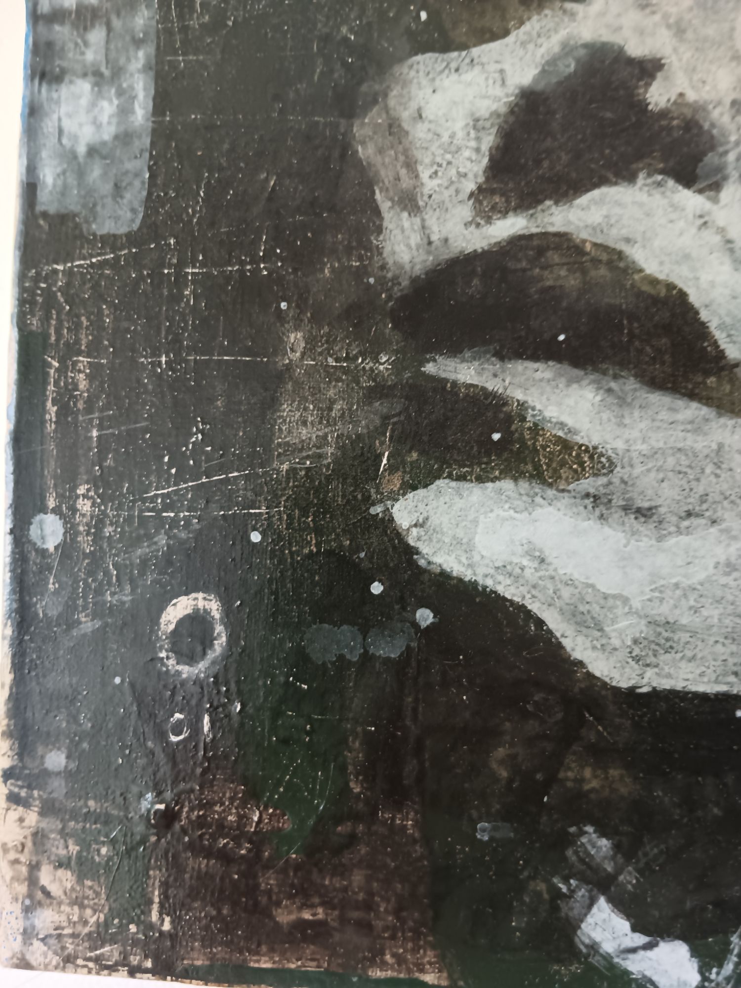 Pieter Martyn "in The Pines" image 5