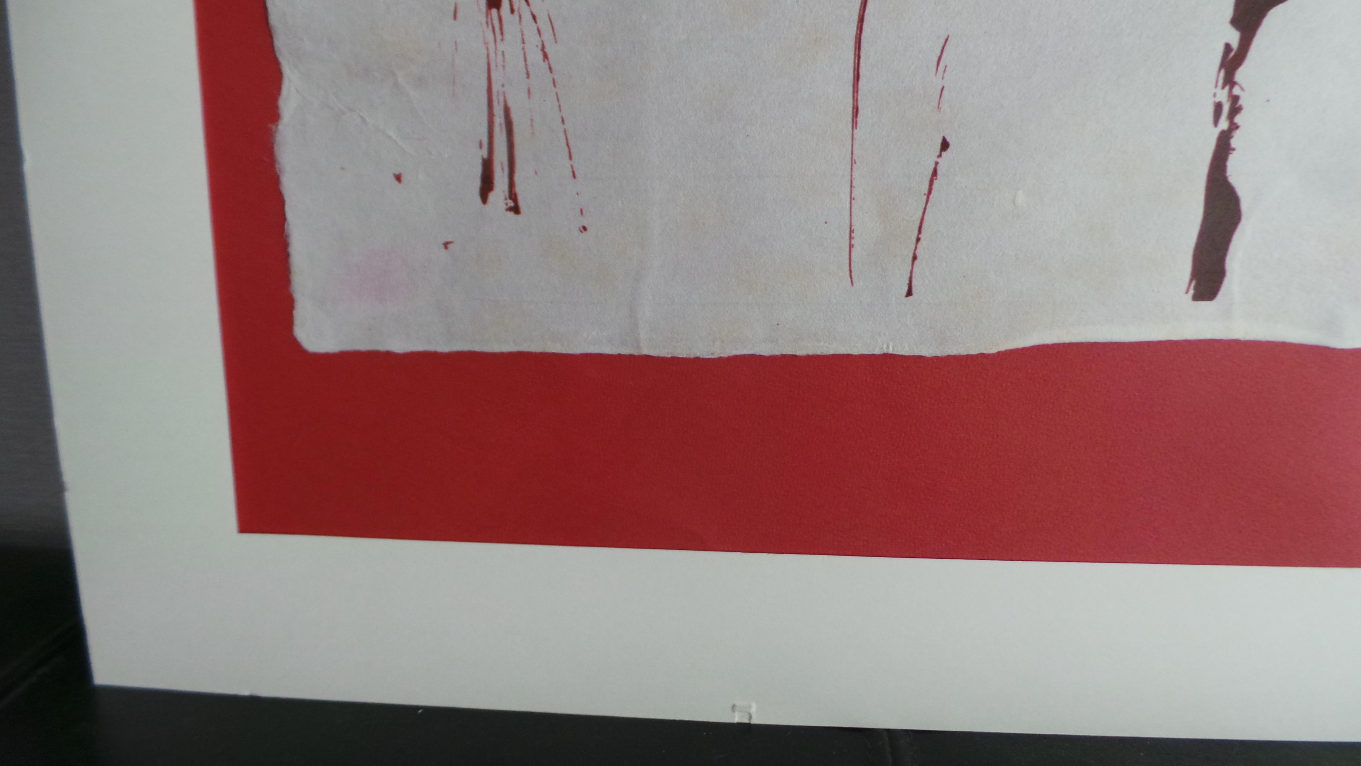 Picador image 13