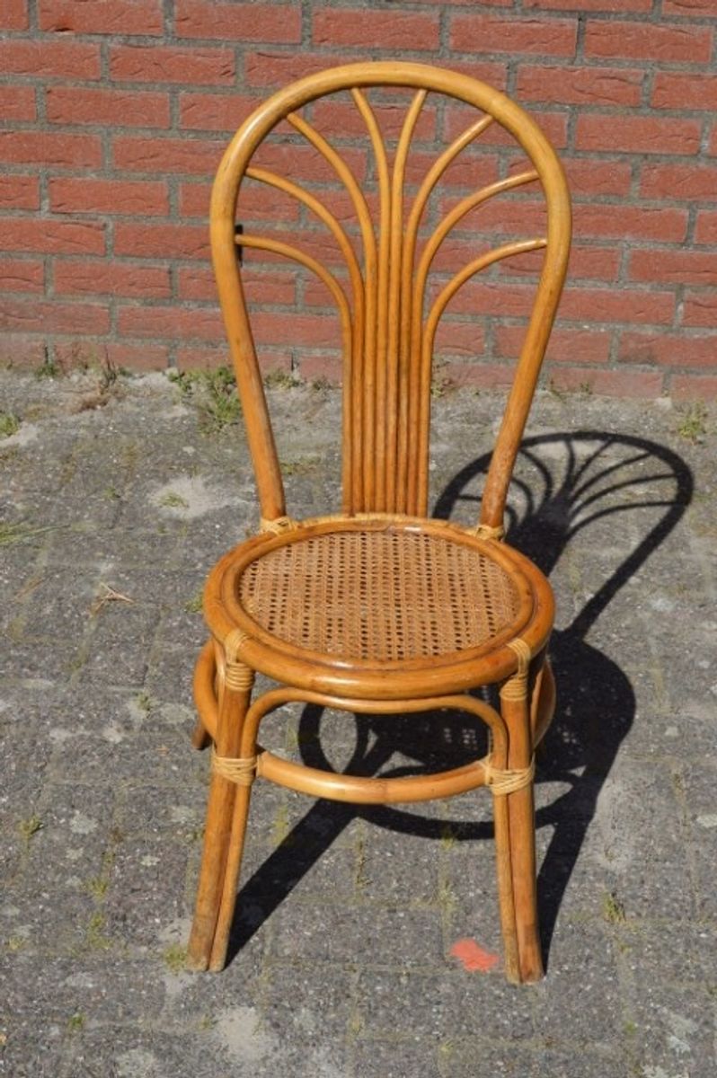 Rotan Stoeltje Met Pauwenstaart Waaier Boog image 5