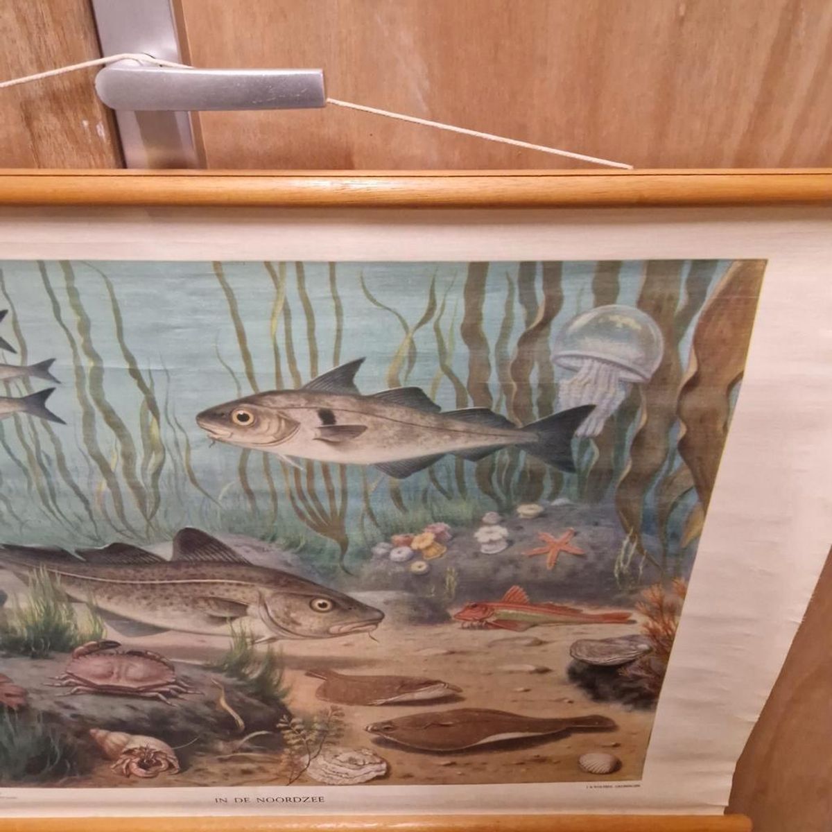 Wandposter Antieke Schoolplaat Schoolkaart Noordzee Wolters image 9