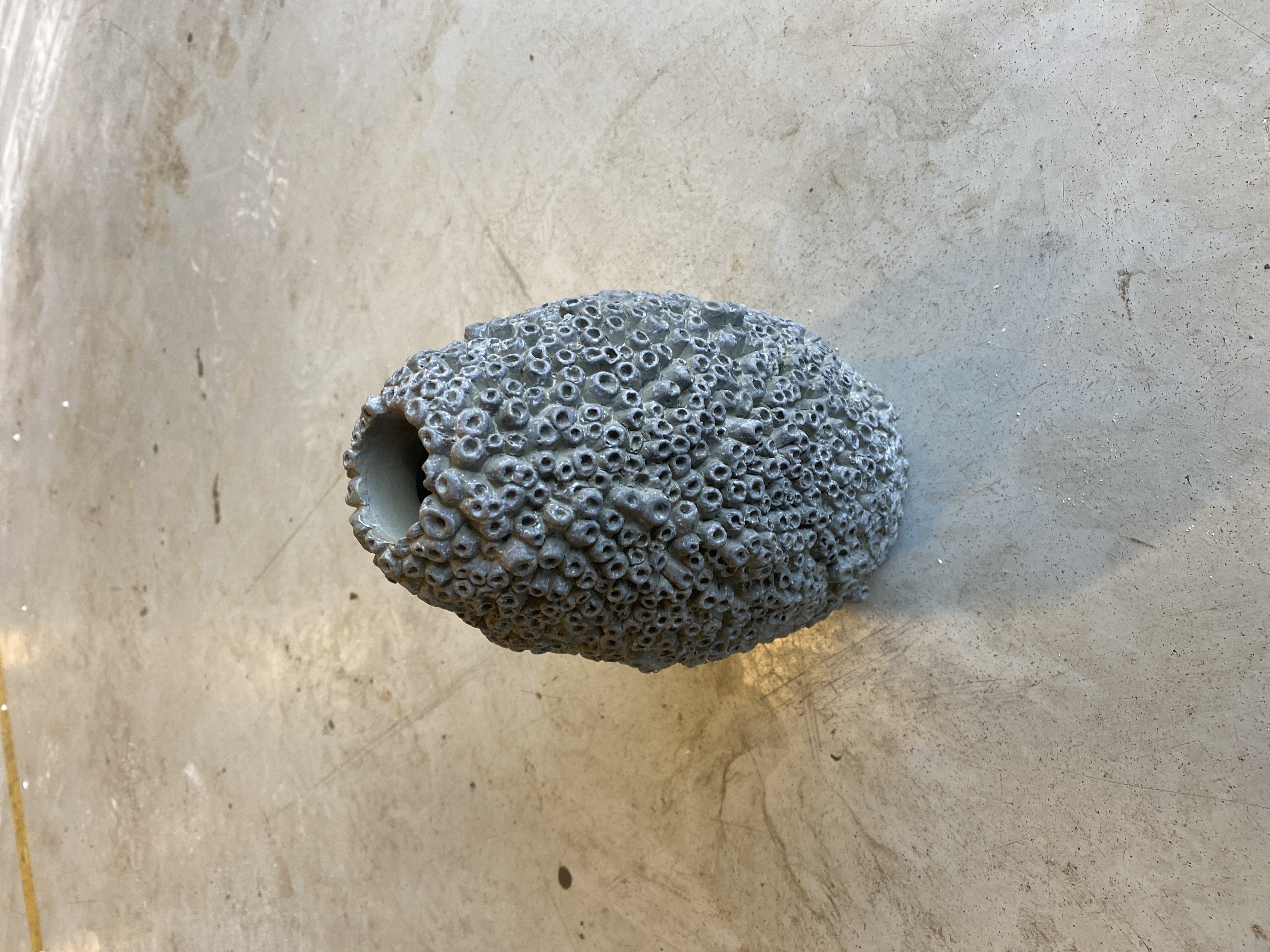 101 Copenhagen | Beehive Tall Vase, Petit - Dark Grey image 2