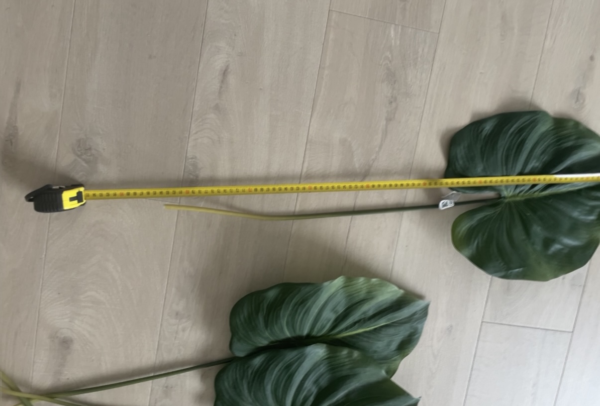 Zijden Bladeren Silk-ka Alocasia image 7