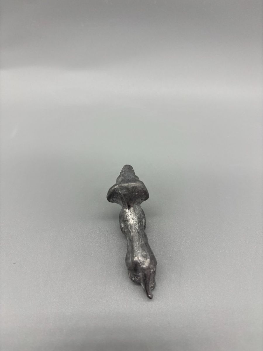 Miniatuur Teckel Zilverkleurig 4 image 6
