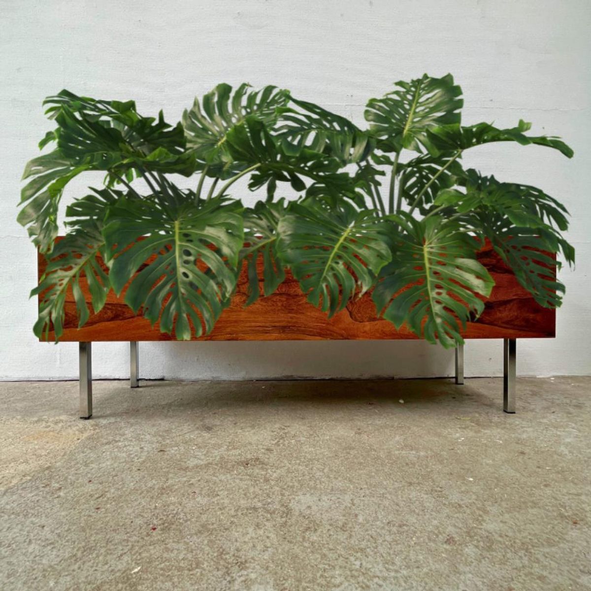 Midcentury Rechthoekige Xl Plantenbak Palissander - Chroom image 6