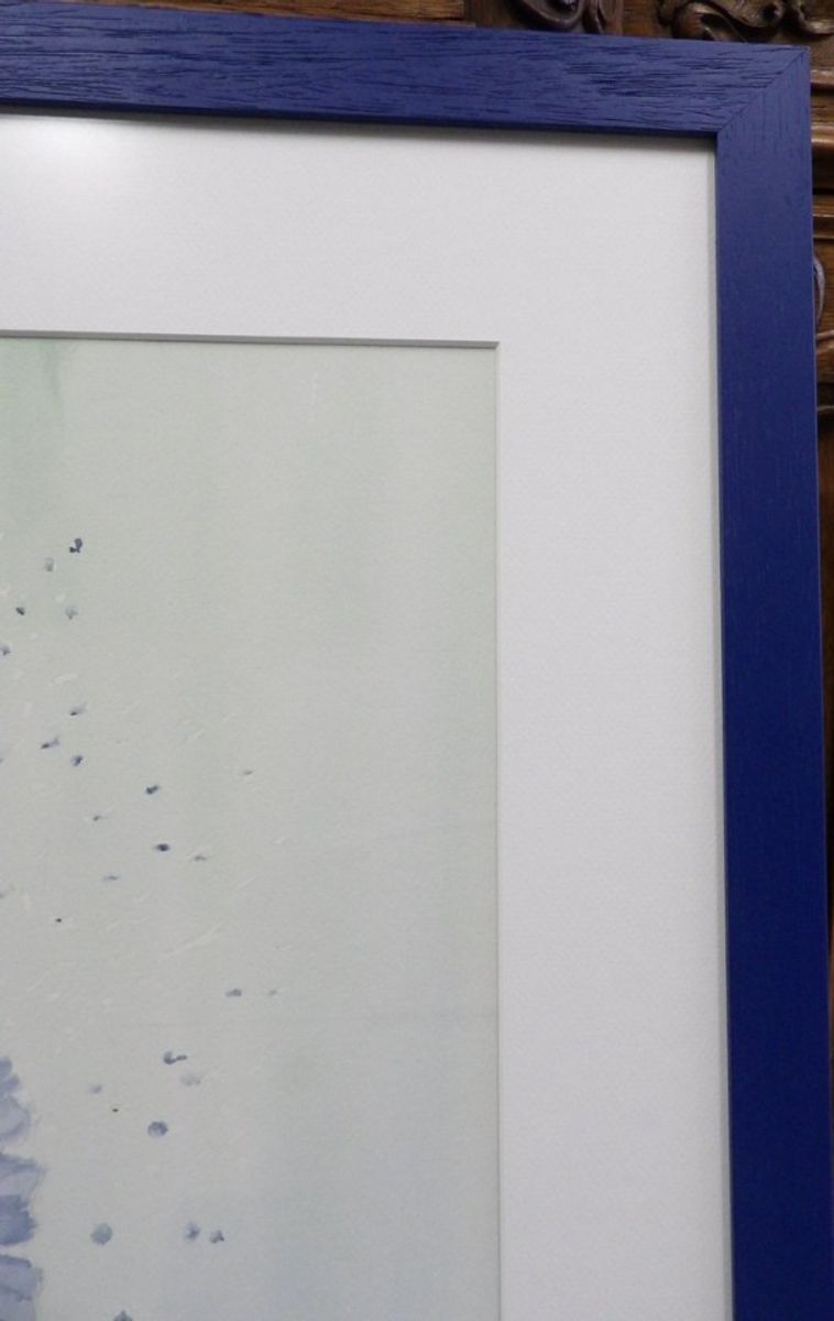 Aquarel "ijsvogel" Christine Desender image 8