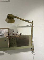 Muuto / Dedicate Table Lamp / Clamp / Brown Green image 3