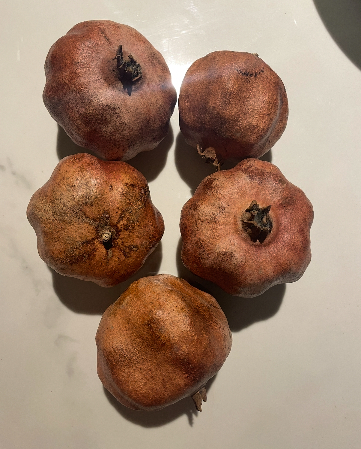 Decoratieve Granaatappels image 3