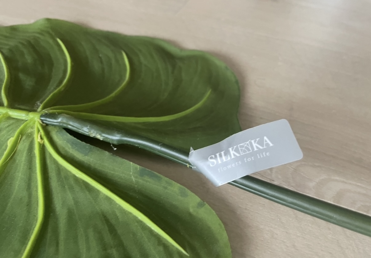 Zijden Bladeren Silk-ka Alocasia image 4