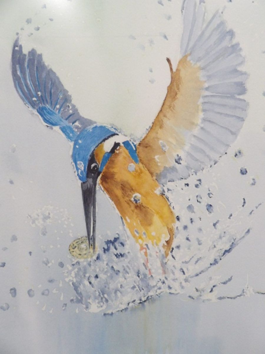 Aquarel "ijsvogel" Christine Desender image 5