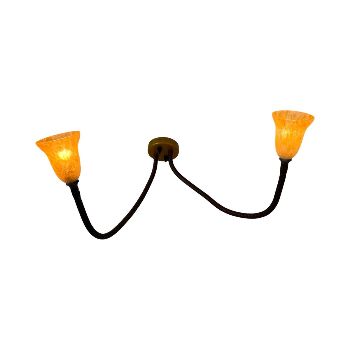 Rob Nollet - Deja Vu Nijmegen - Wall Mounted Lamp - Gooseneck (double) - Glass Shades, Dutch Design image 1
