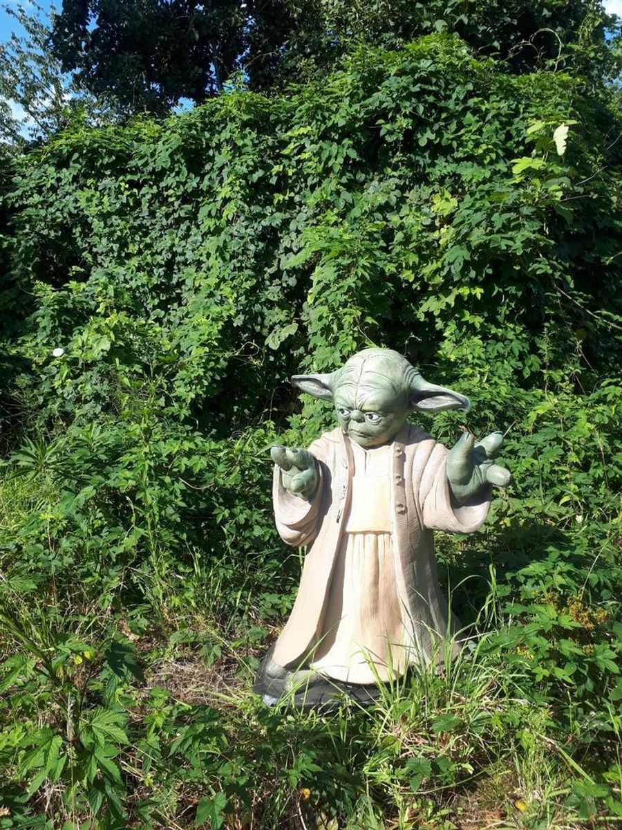 Xxl Yoda Beeld Van Fiberglass Of Kunststof Star Warsstarwars image 7
