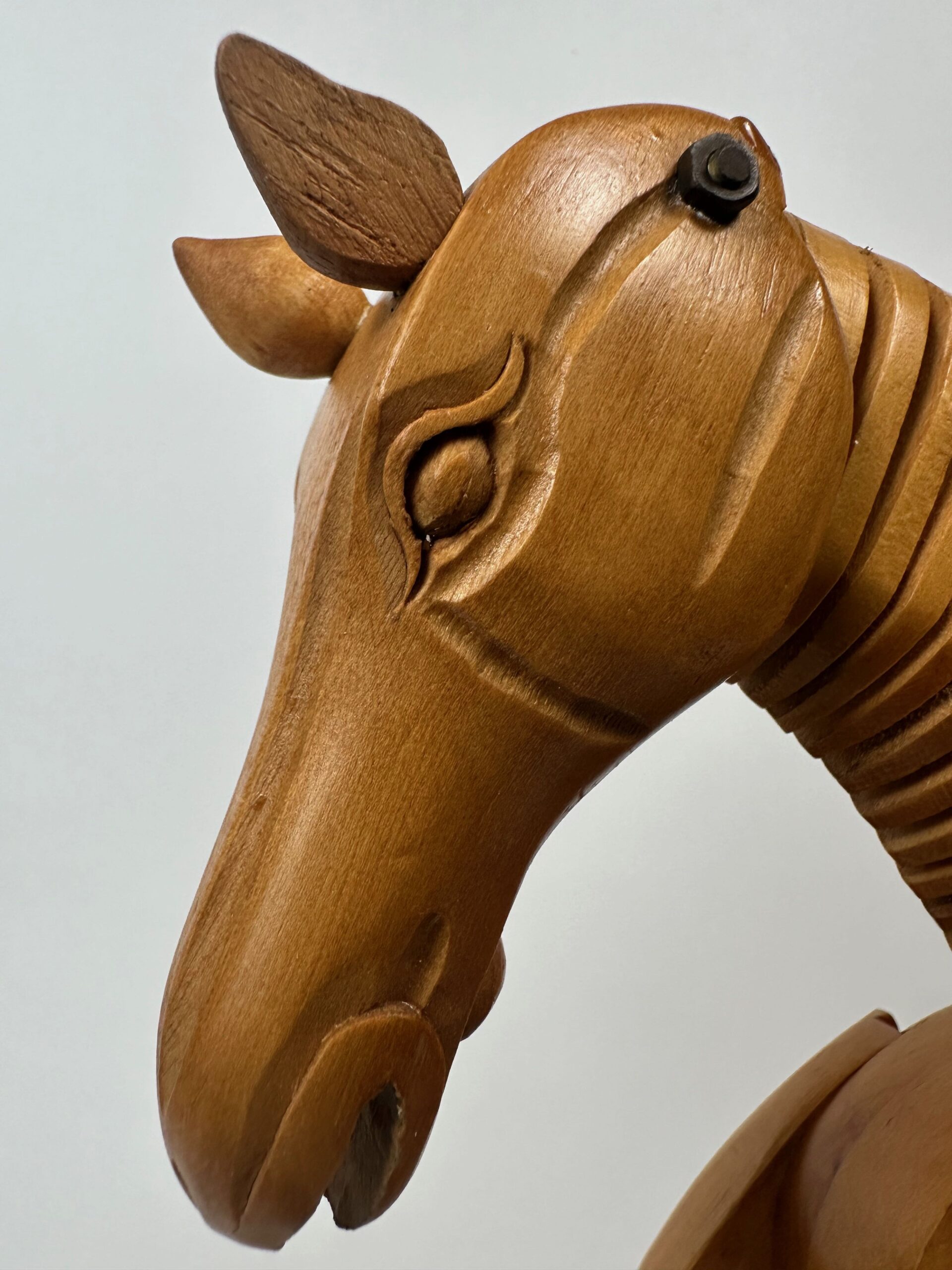 Vintage Tekenmodel – Paard image 8
