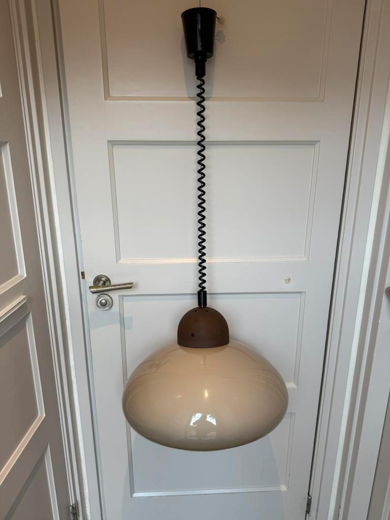 Mushroom Hanglamp Trekpendel Van Dijkstra, Jaren 70 image 2
