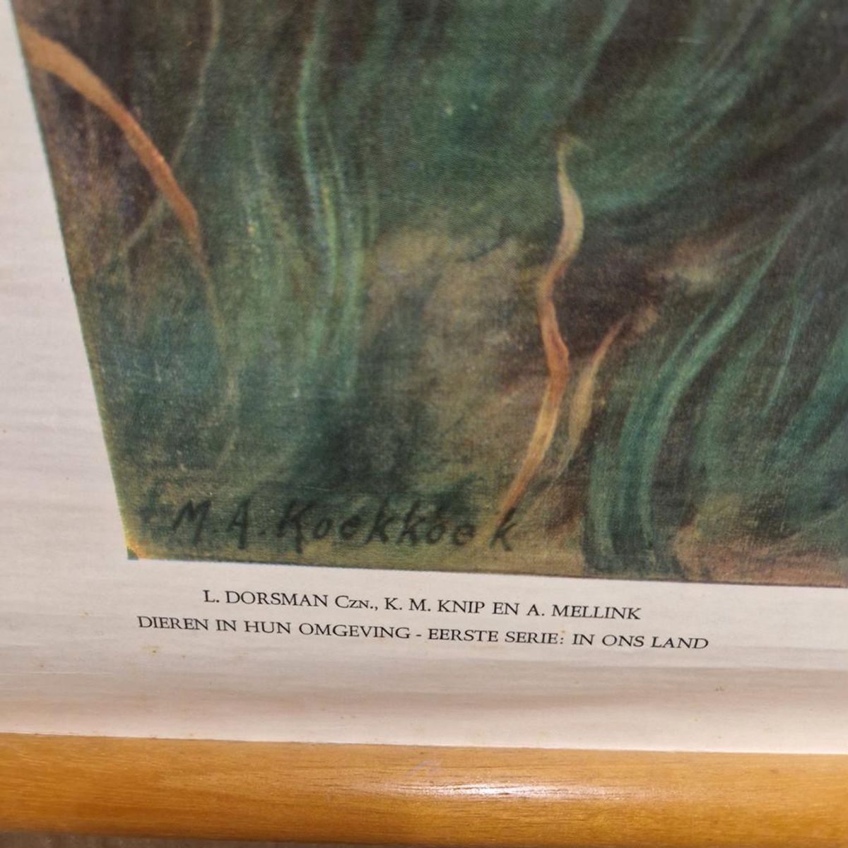 Wandposter Antieke Schoolplaat Schoolkaart Noordzee Wolters image 4