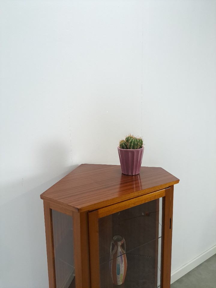 Fineer Glazen Hoek Vitrinekast image 10