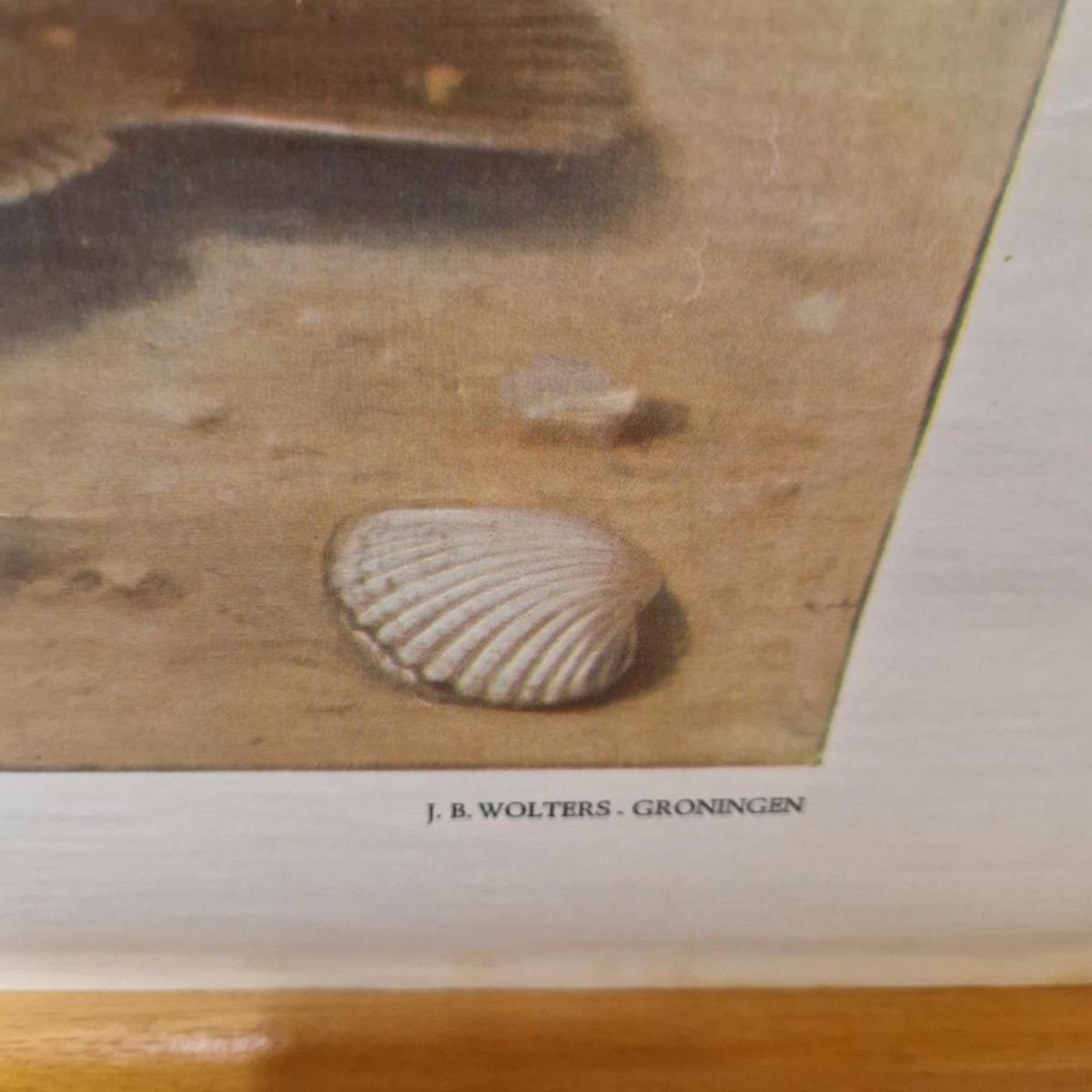 Wandposter Antieke Schoolplaat Schoolkaart Noordzee Wolters image 7