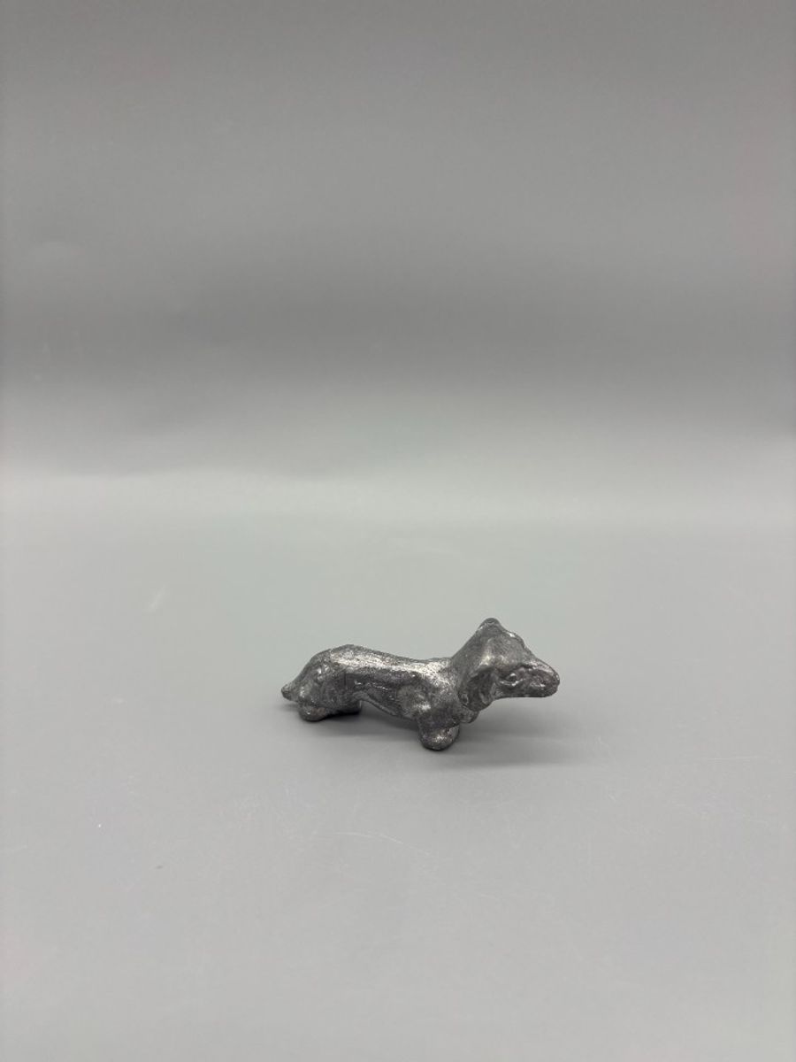 Miniatuur Teckel Zilverkleurig 4 image 4