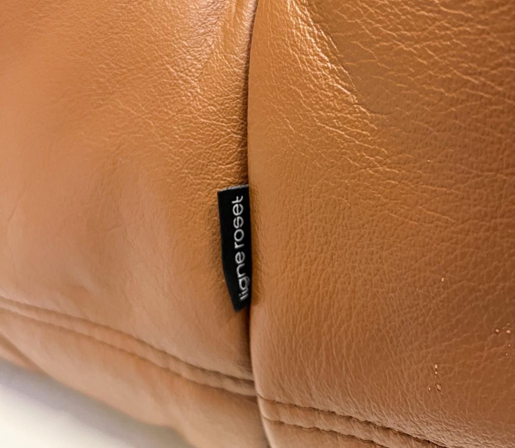 Togo 2-zits Sofa Van Michel Ducaroy Voor Ligne Roset image 9