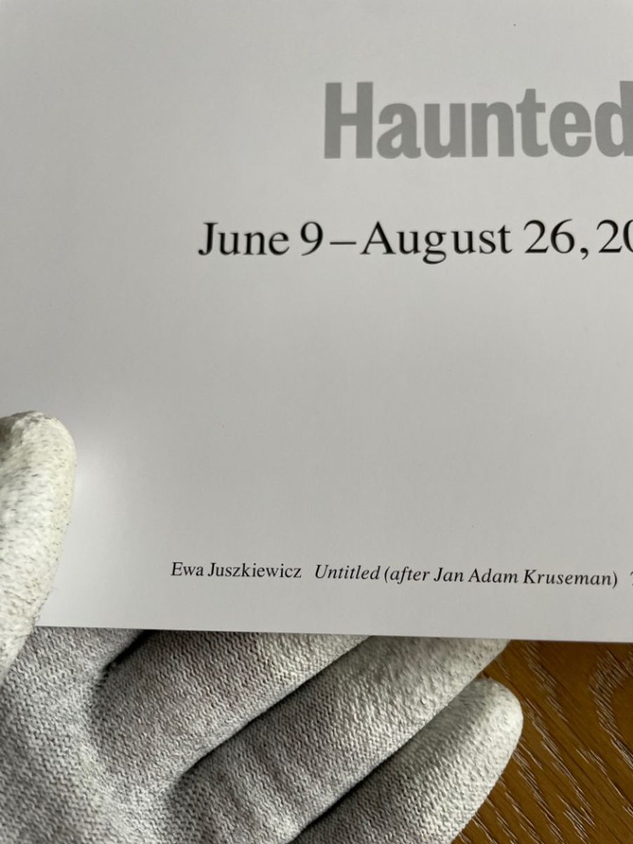 Ewa Juszkiewicz, Untitled (after Jan Adam Kruseman), 2020 image 8