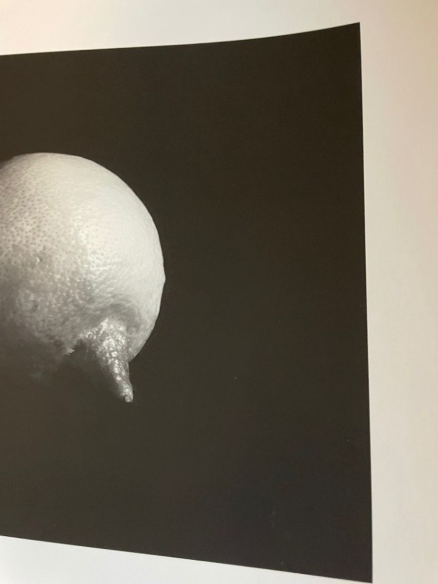 Sabine Kacunko, Out Of Sight I,2000 image 5
