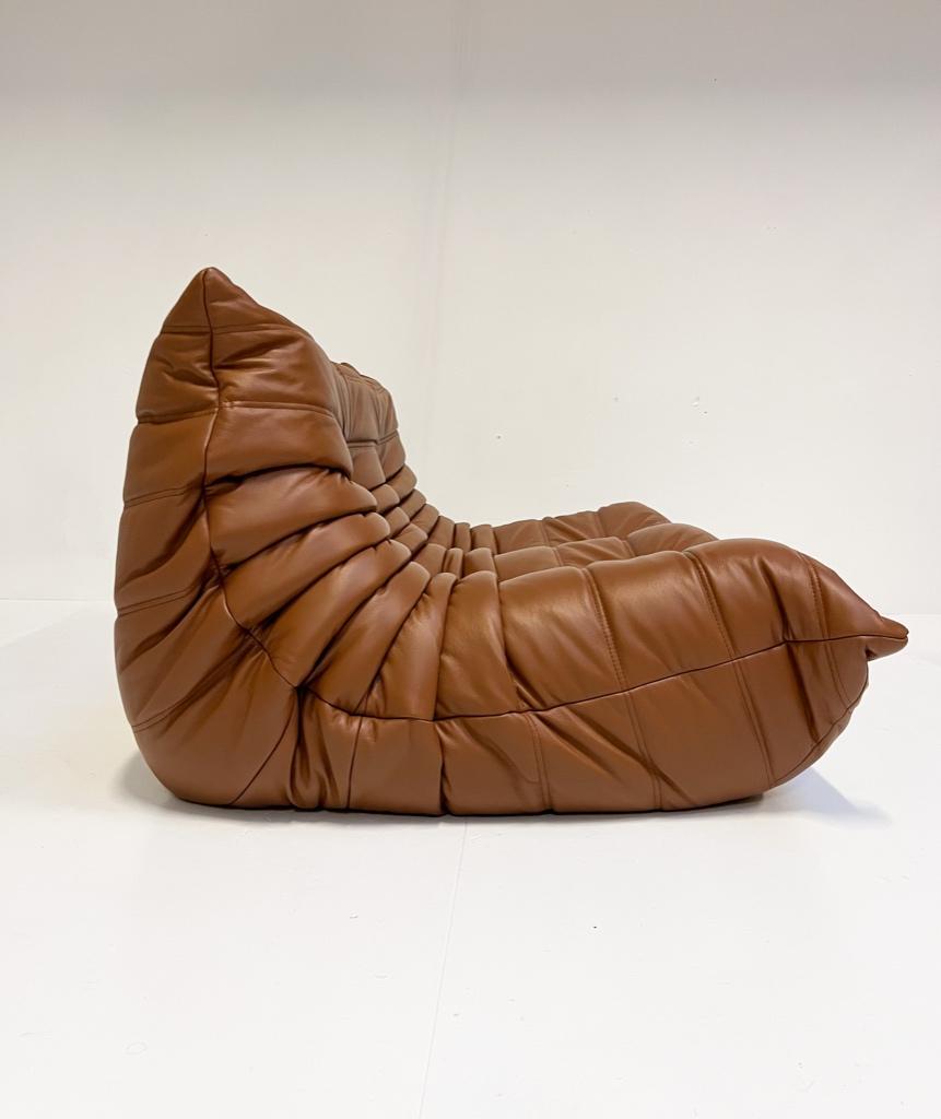 Togo 2-zits Sofa Van Michel Ducaroy Voor Ligne Roset image 13