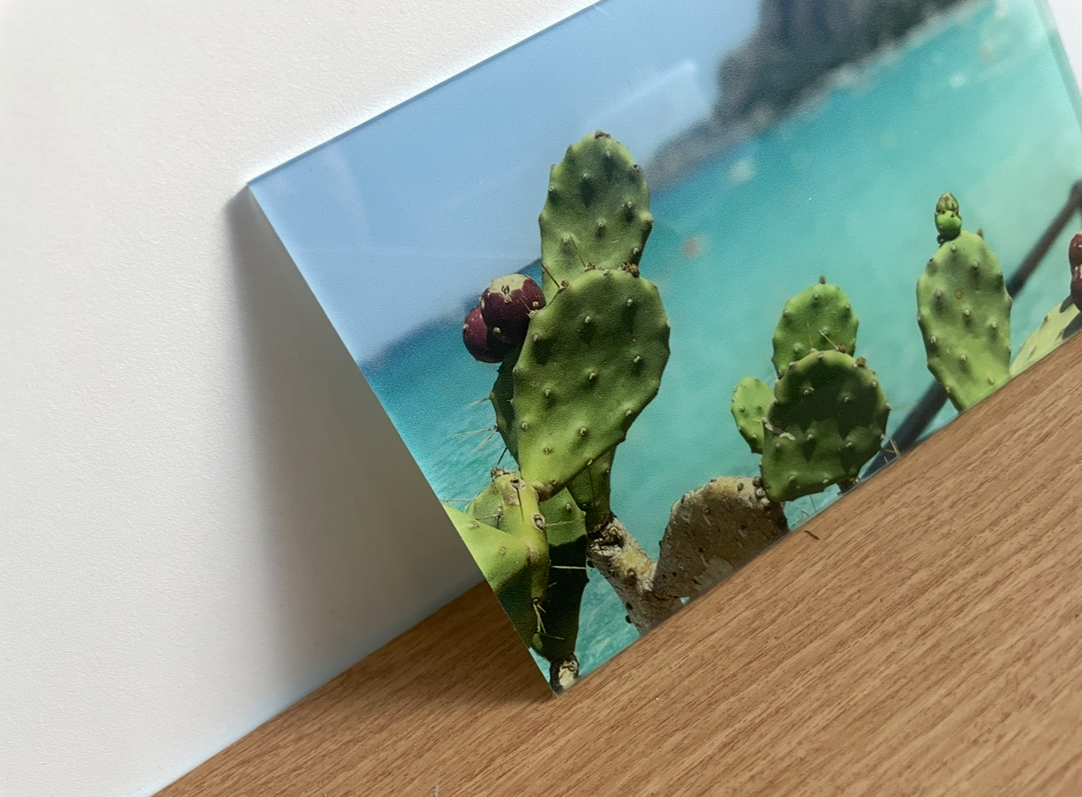 Foto Cactus Op Plexi image 3