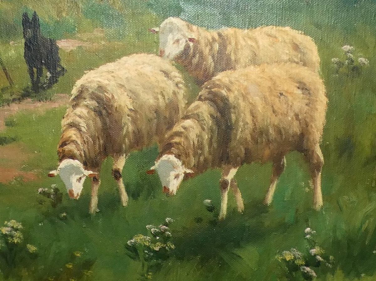 Henri Matthijs (xix-xx) Schapen Met Herder image 9