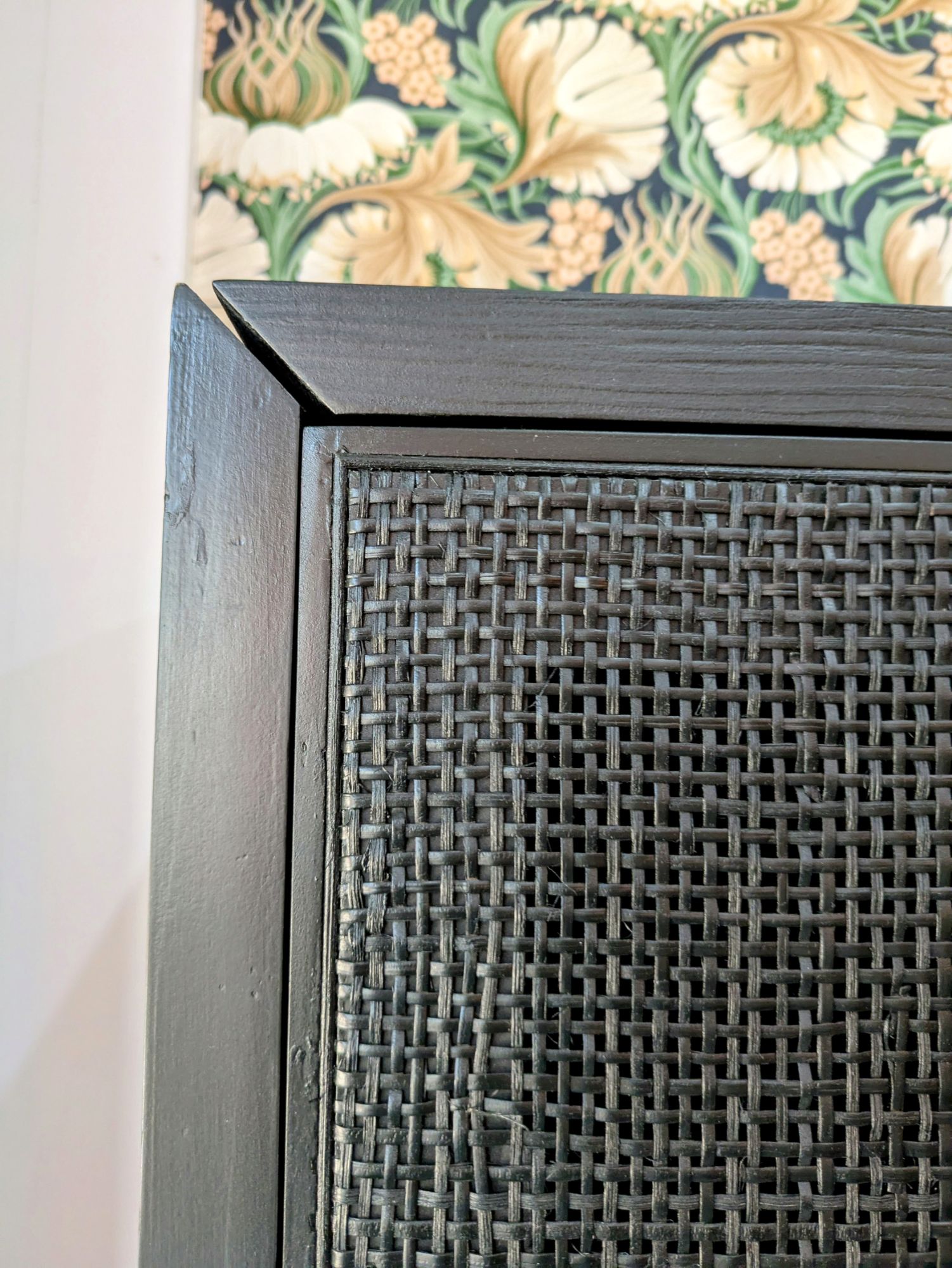Zwarte Rotan Webbing Kast image 12