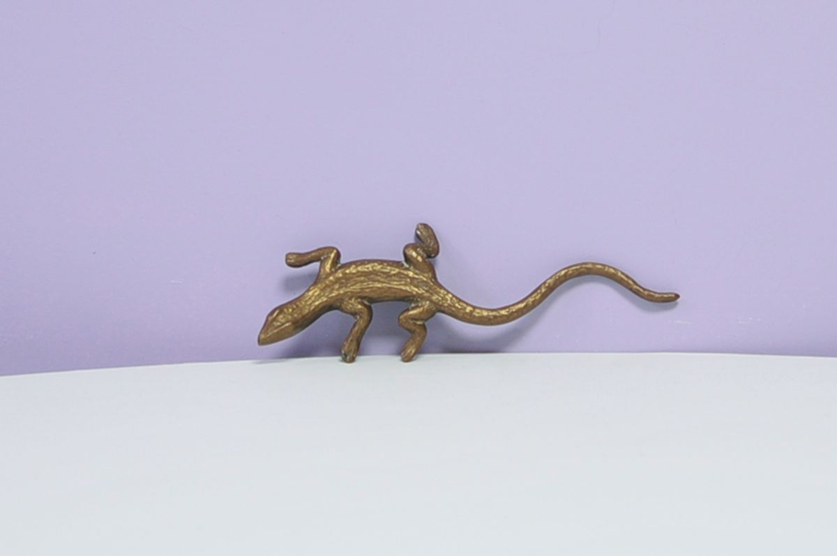 Gouden Bronzen Beeldje Hagedis image 2
