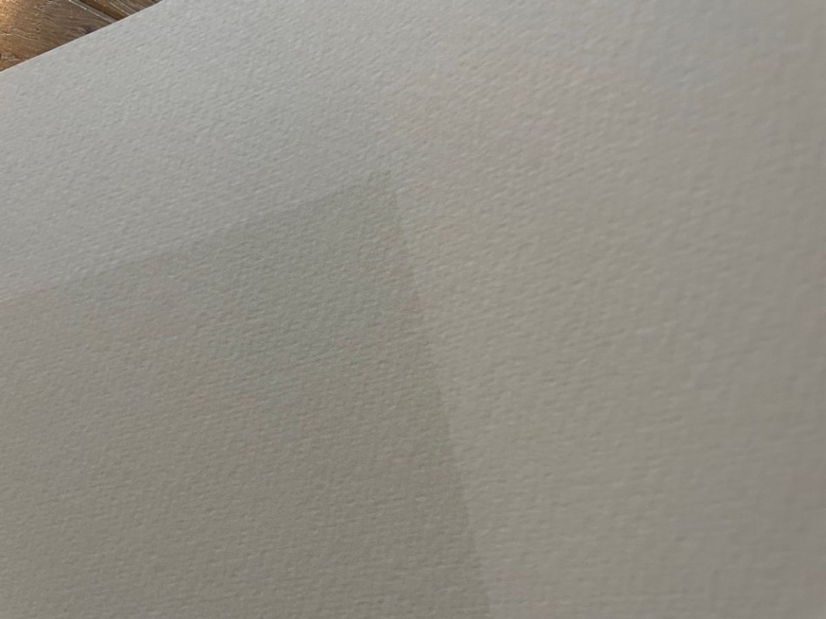 Ellsworth Kelly (1923-2015), Chêne, 1964 image 2