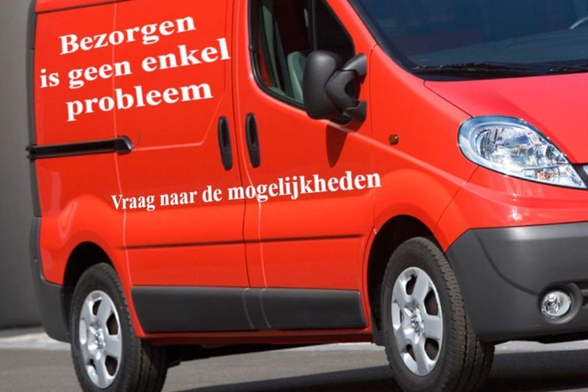 Zeer Grote Antieke Tuinvaas Bloembak Plantenbak Jardinière image 19