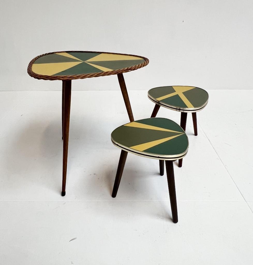 Set Van 3 Gerestaureerde Plantentafels Uit Frankrijk, 1960's image 2