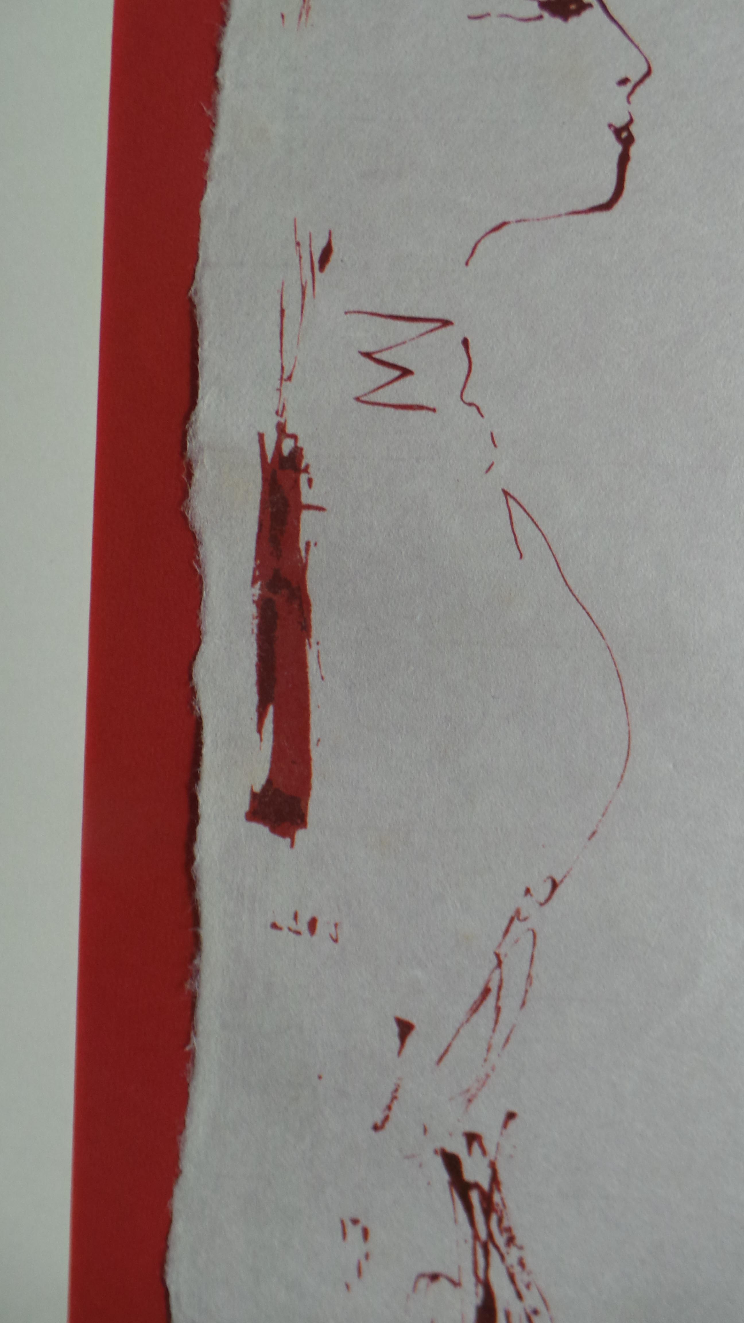 Picador image 5