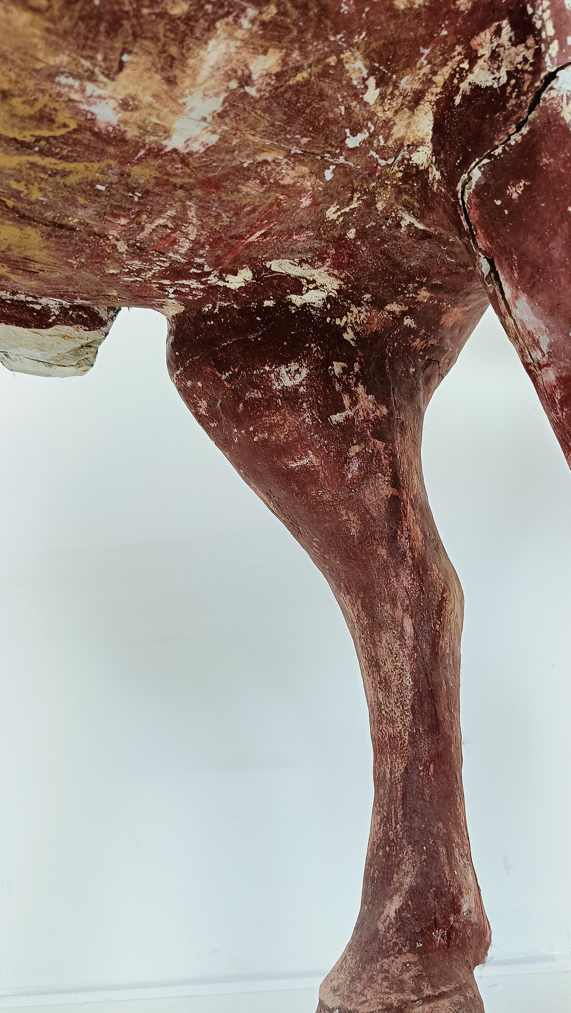 Tang Dynasty Paard image 25