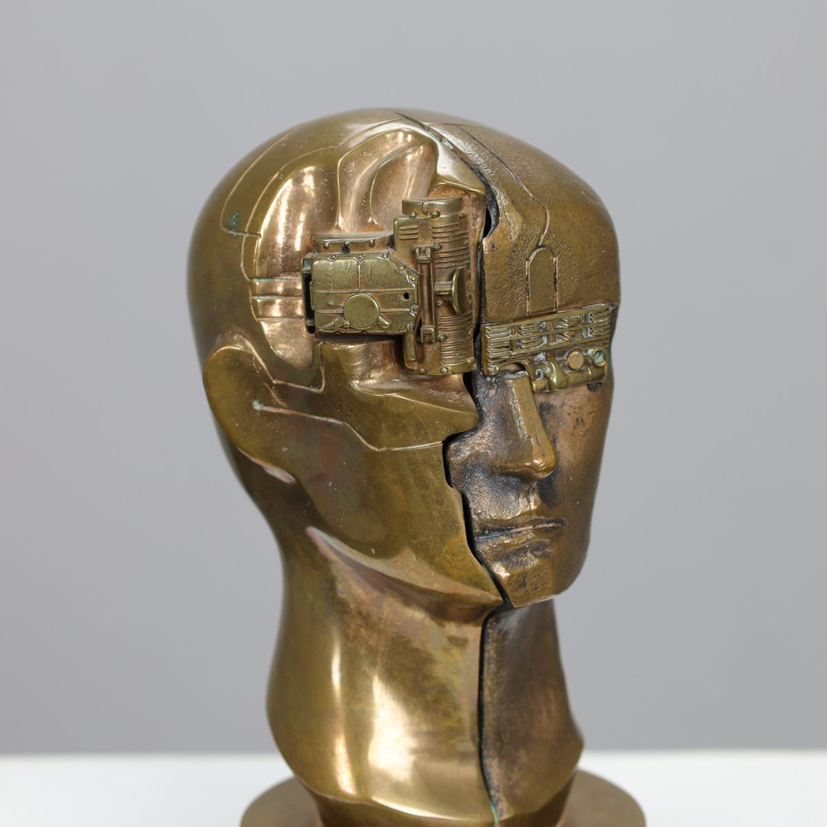 Sculpture “homo Decessor” By Raf Verjans image 8