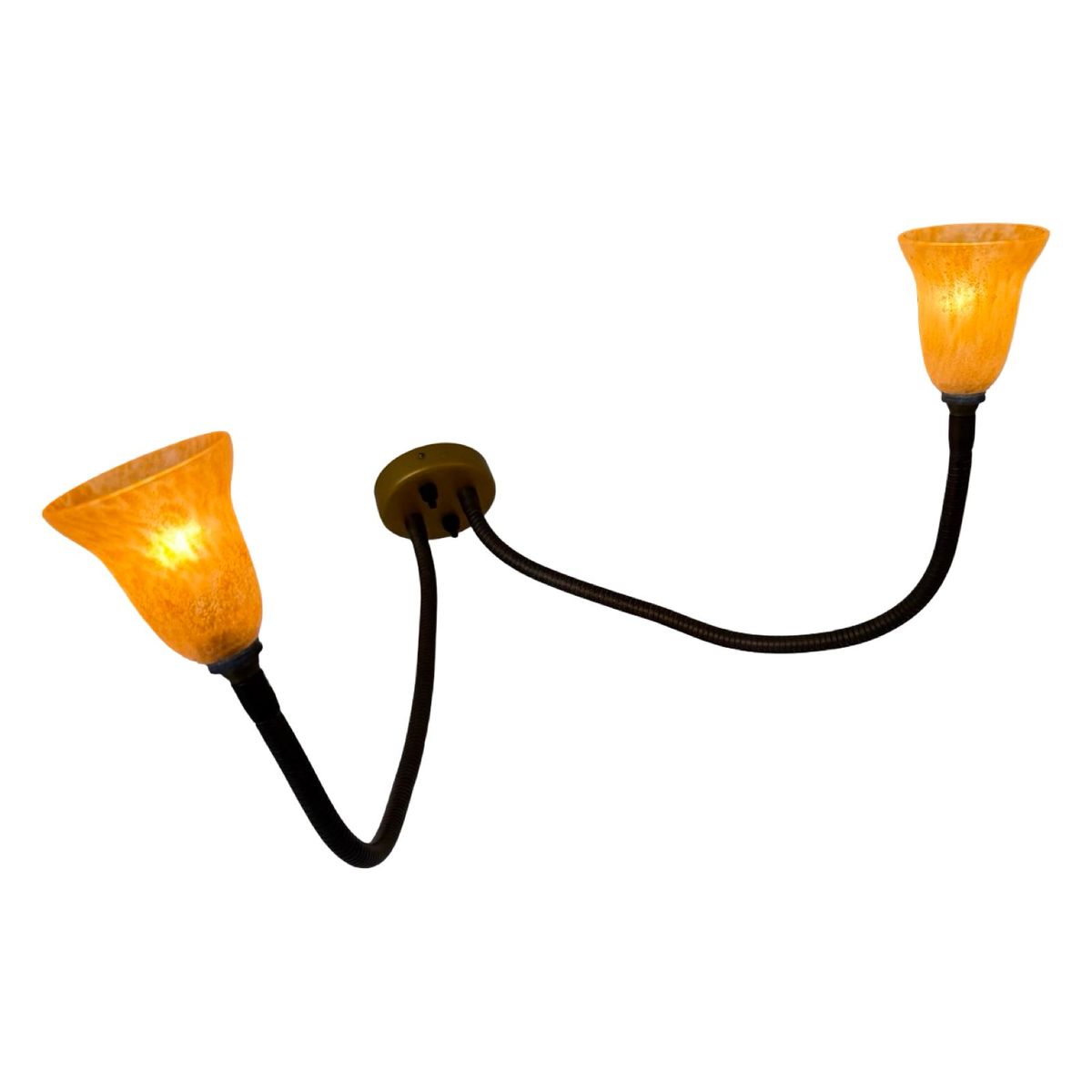 Rob Nollet - Deja Vu Nijmegen - Wall Mounted Lamp - Gooseneck (double) - Glass Shades, Dutch Design image 5