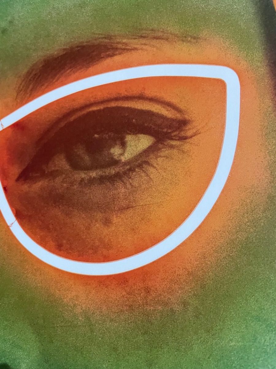 Martial Raysse, France Verte, 1964 image 11