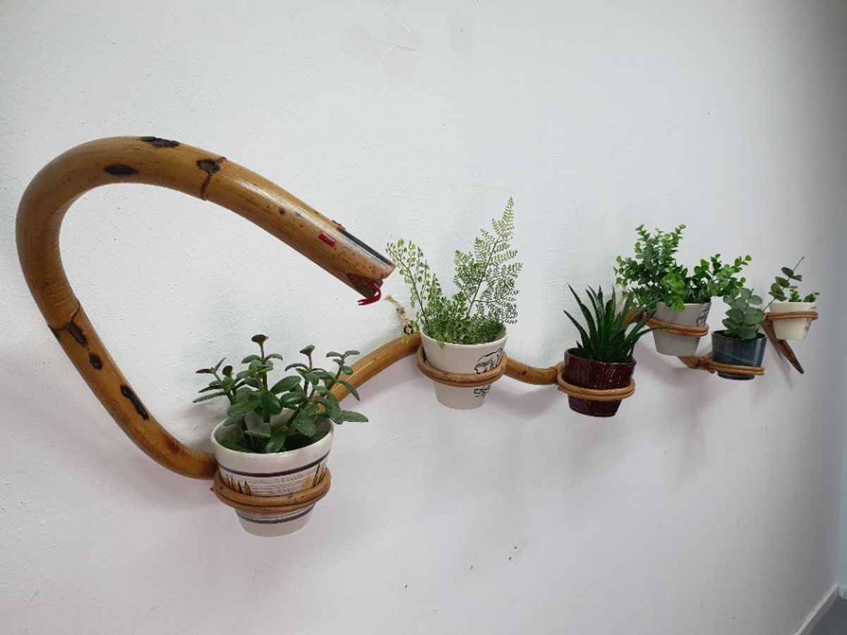 Plantenslang Rotan/bamboe. Plantenhouder Rohé/trio Noordwolde image 10