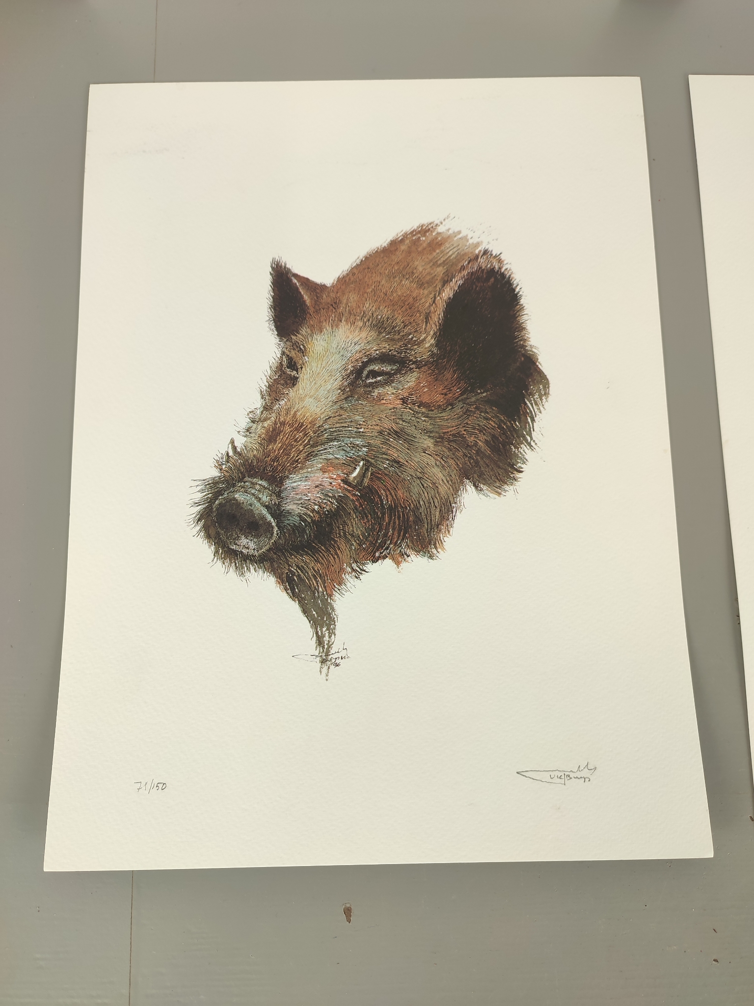Vic Buys - 4 Grafieken Van Dieren image 7