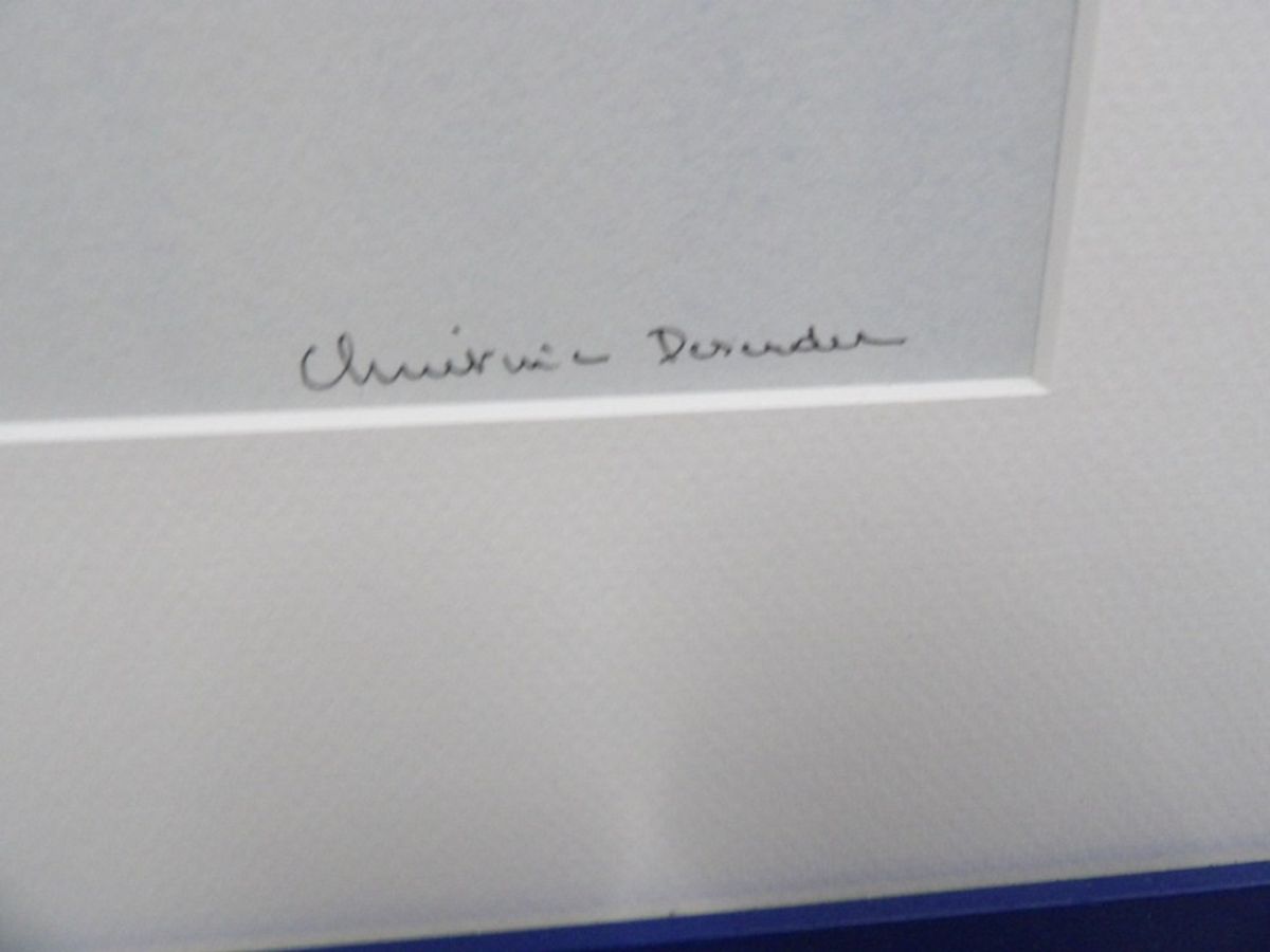 Aquarel "ijsvogel" Christine Desender image 7