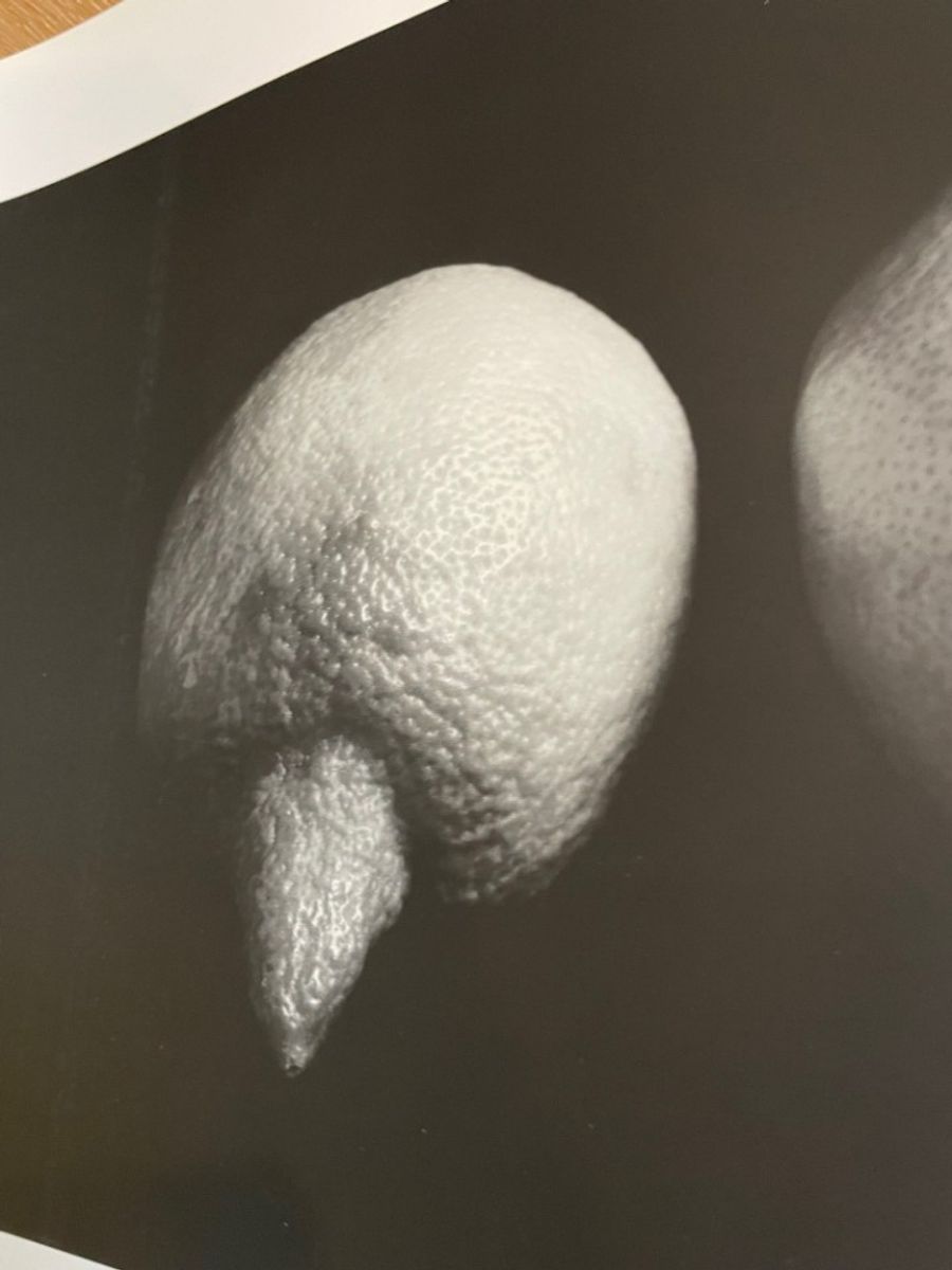 Sabine Kacunko, Out Of Sight I,2000 image 4