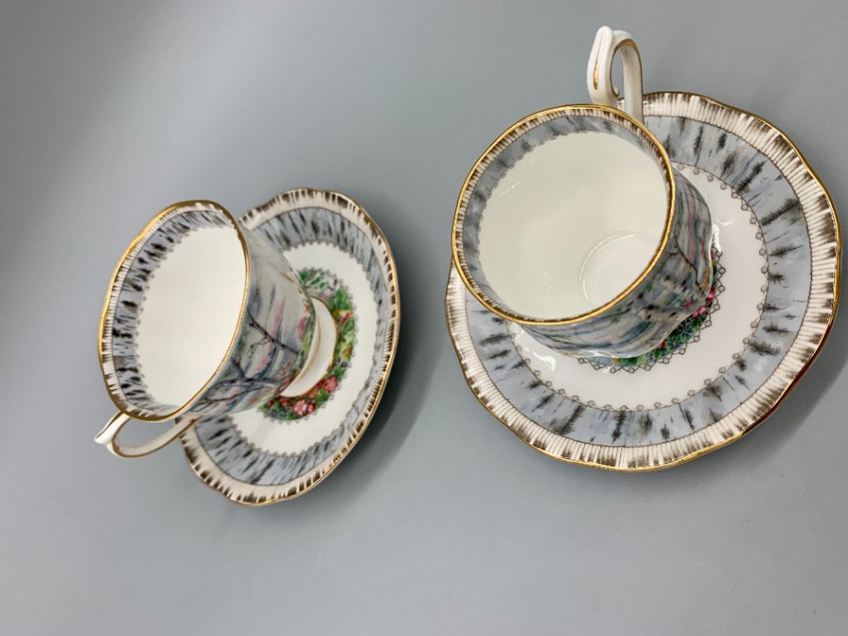 Set Royal Albert Silver Birch Dames En Heren Kop En Schotel image 3